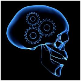 X Ray image of a skull showing gears inside