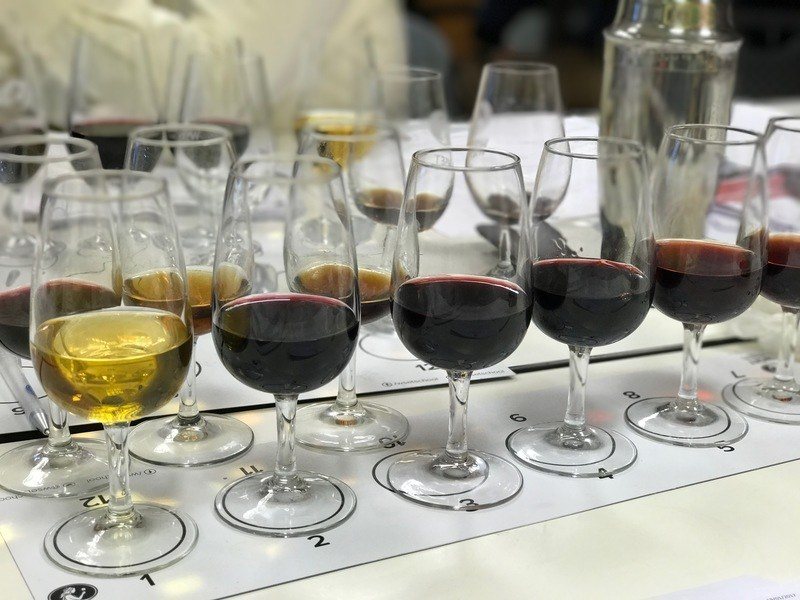 Wine glasses arranged for a wine tasting