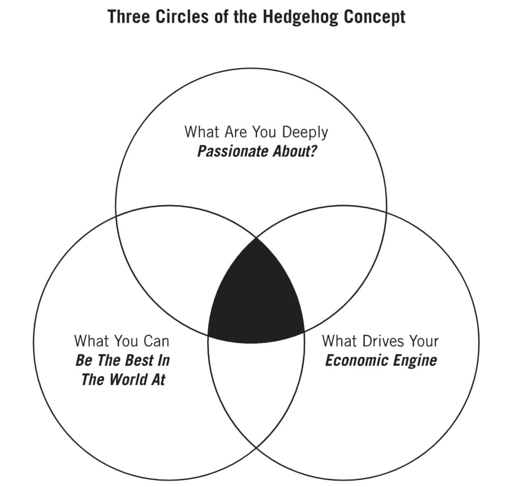 Jim Collin's hedgehog concept: what you are passionate about, what you're good at and what makes money. Critical thinking for people who want a promotion.